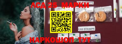 ПСИЛОЦИБИНОВЫЕ ГРИБЫ Обнинск