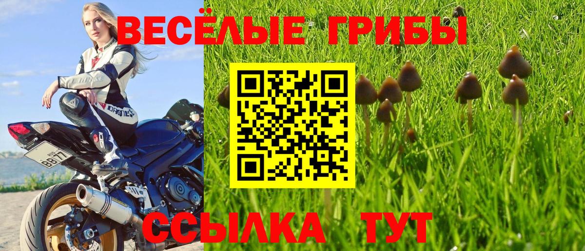 Ногинск  Галлюциногенные грибы мухоморы  Галлюциногенные грибы Psilocybine cubensis  Вход с VPN 